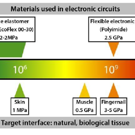 mechanical testing soft tissue|elastic modulus vs soft tissue.